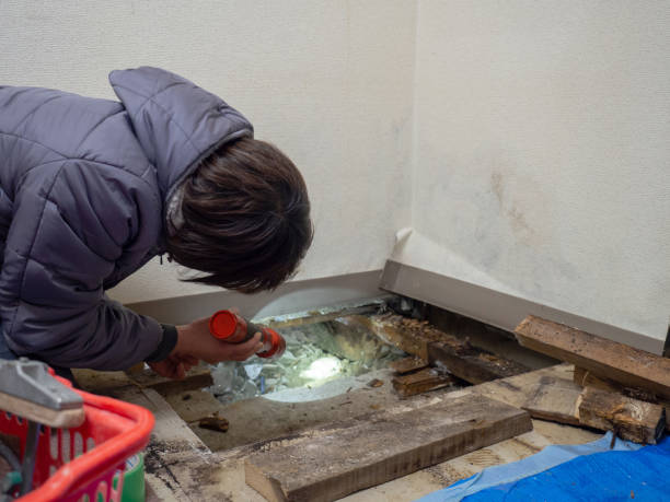 Best Real Estate Mold Inspection  in Strum, WI