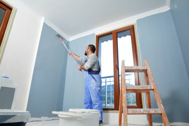 Best Basement Mold Removal  in Strum, WI