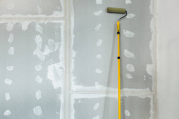 Best Mold Remediation for Healthcare Facilities  in Strum, WI