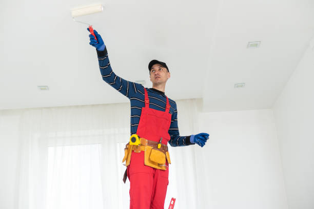 Best Emergency Mold Remediation  in Strum, WI