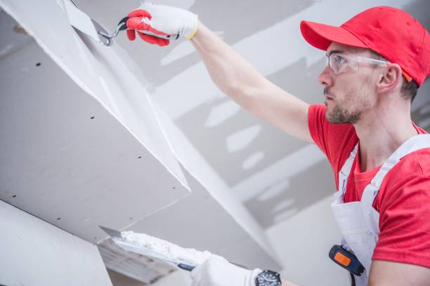 Best Mold Odor Removal Services  in Strum, WI