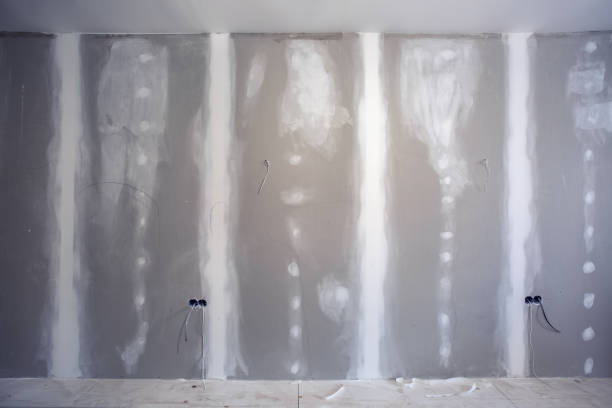 Mold Remediation for Rental Properties